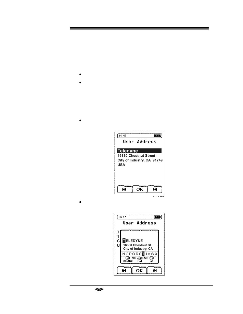 Teledyne PEM-9004 - Portable emissions analyzer User Manual | Page 39 / 79