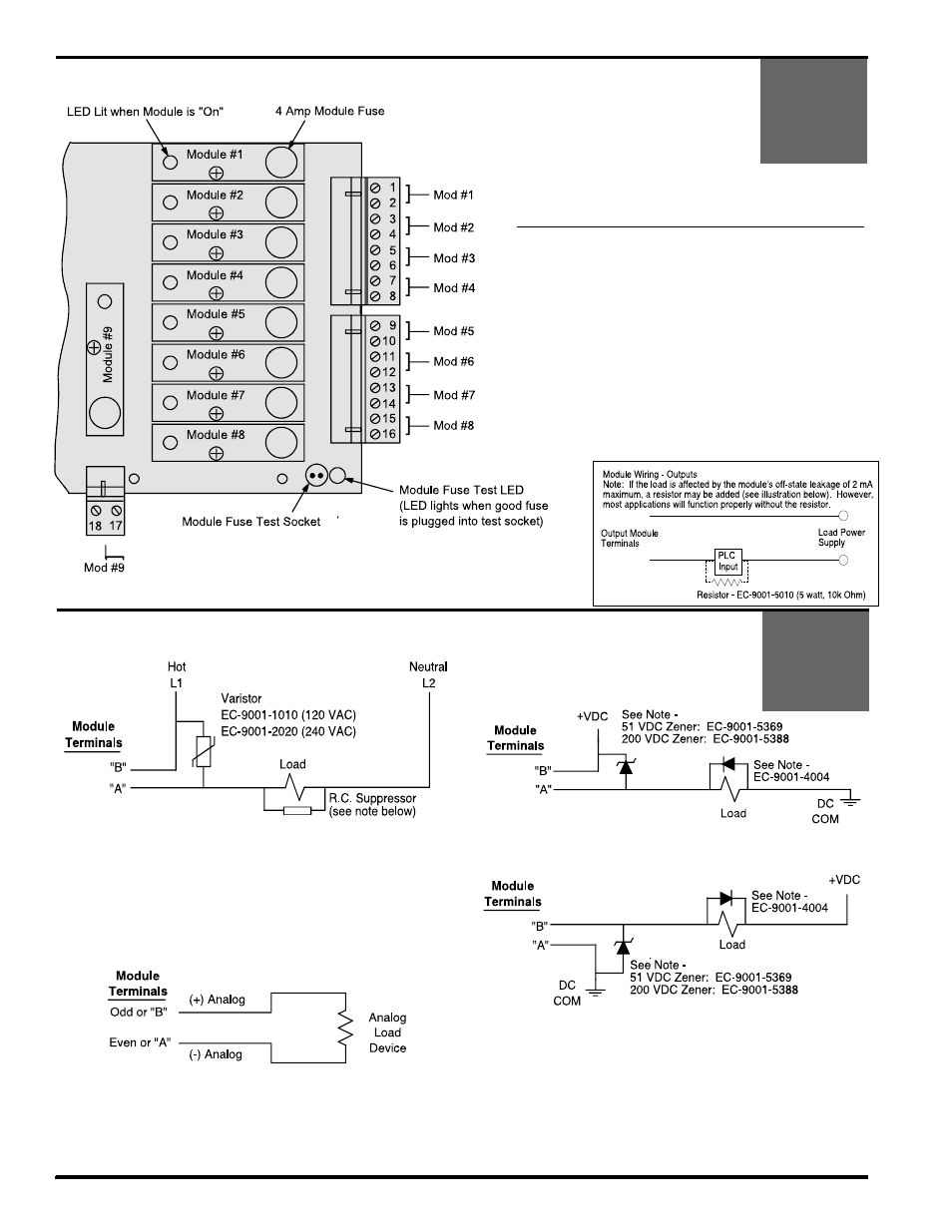 Module wiring: outputs, Module wiring - outputs, Analog output | Electro Cam 5000 Series User Manual | Page 16 / 80