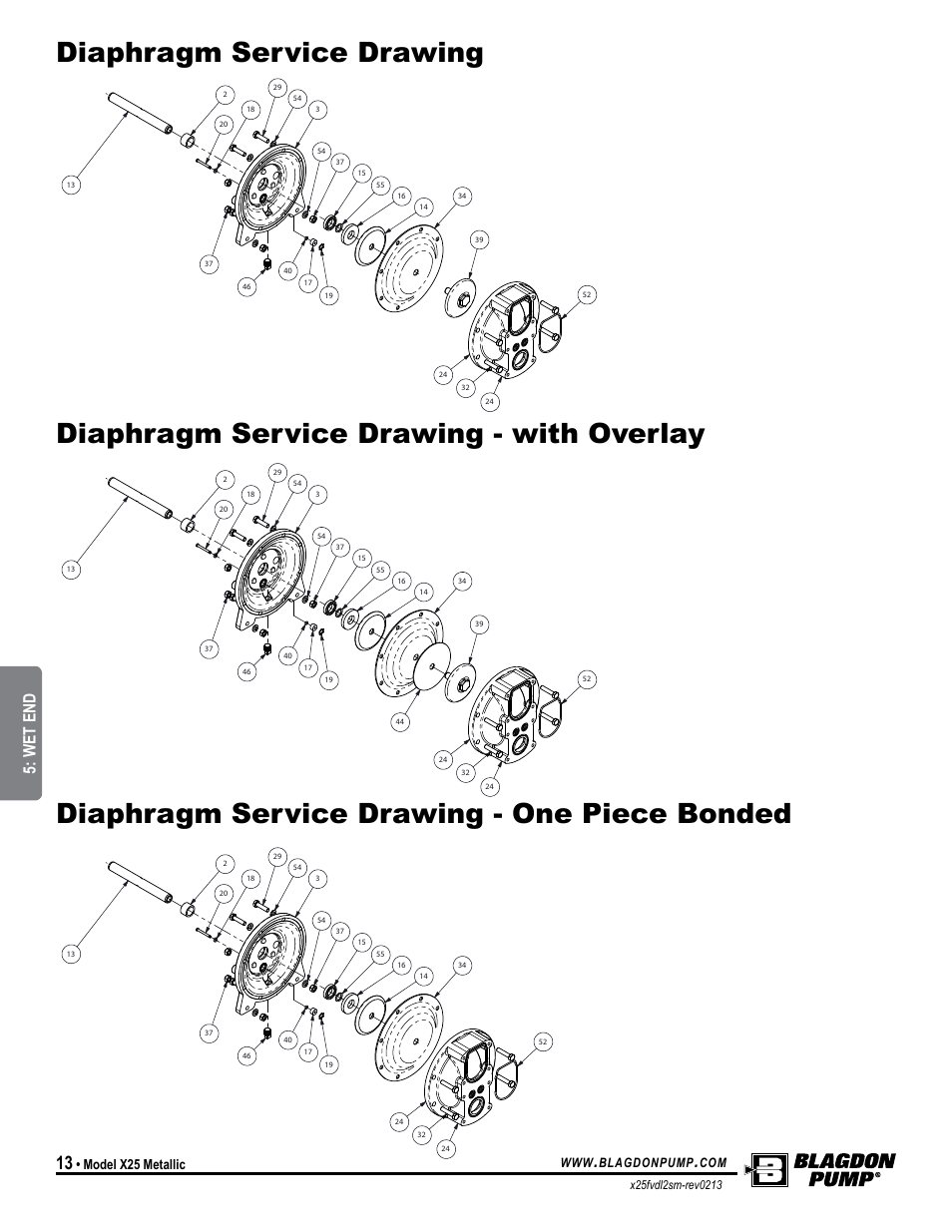 Model specific, Wet end, Model x25 metallic | Blagdon Pump X25 Metallic Flap Valve User Manual | Page 16 / 19