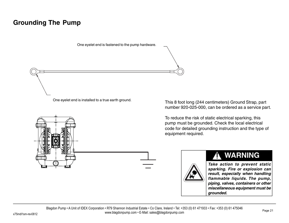 Warning, Grounding the pump | Blagdon Pump B75 Metallic User Manual | Page 23 / 25