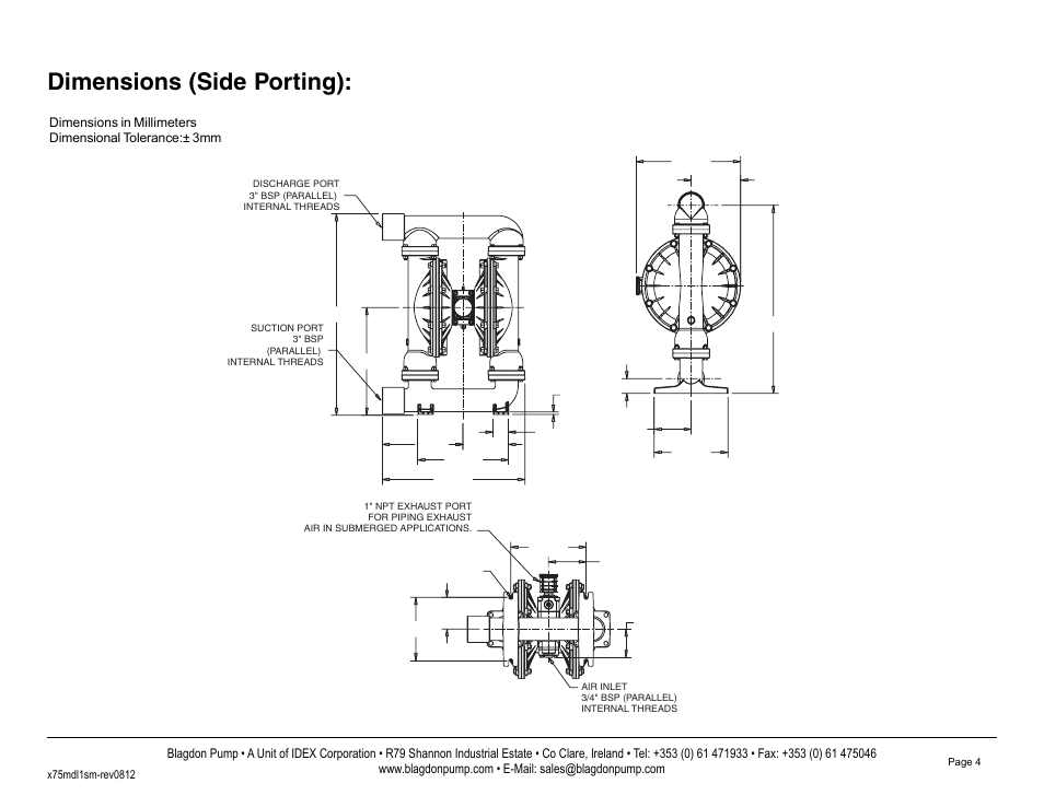 Dimensions (side porting) | Blagdon Pump B75 Metallic User Manual | Page 6 / 25