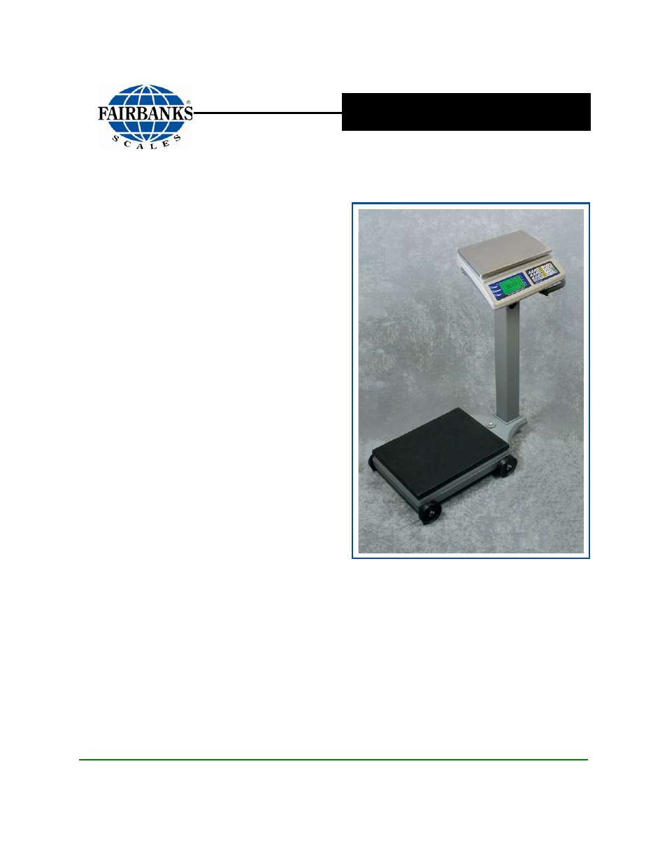 Fairbanks 1129 SERIES Dual Platform Counting Scale User Manual | 50 pages