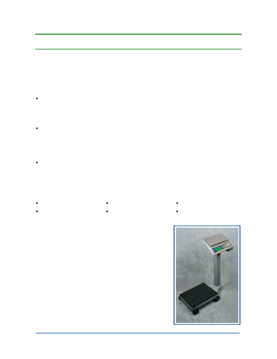Section 1: general information, Introduction, Standard applications | Fairbanks 1129 SERIES Dual Platform Counting Scale User Manual | Page 7 / 50