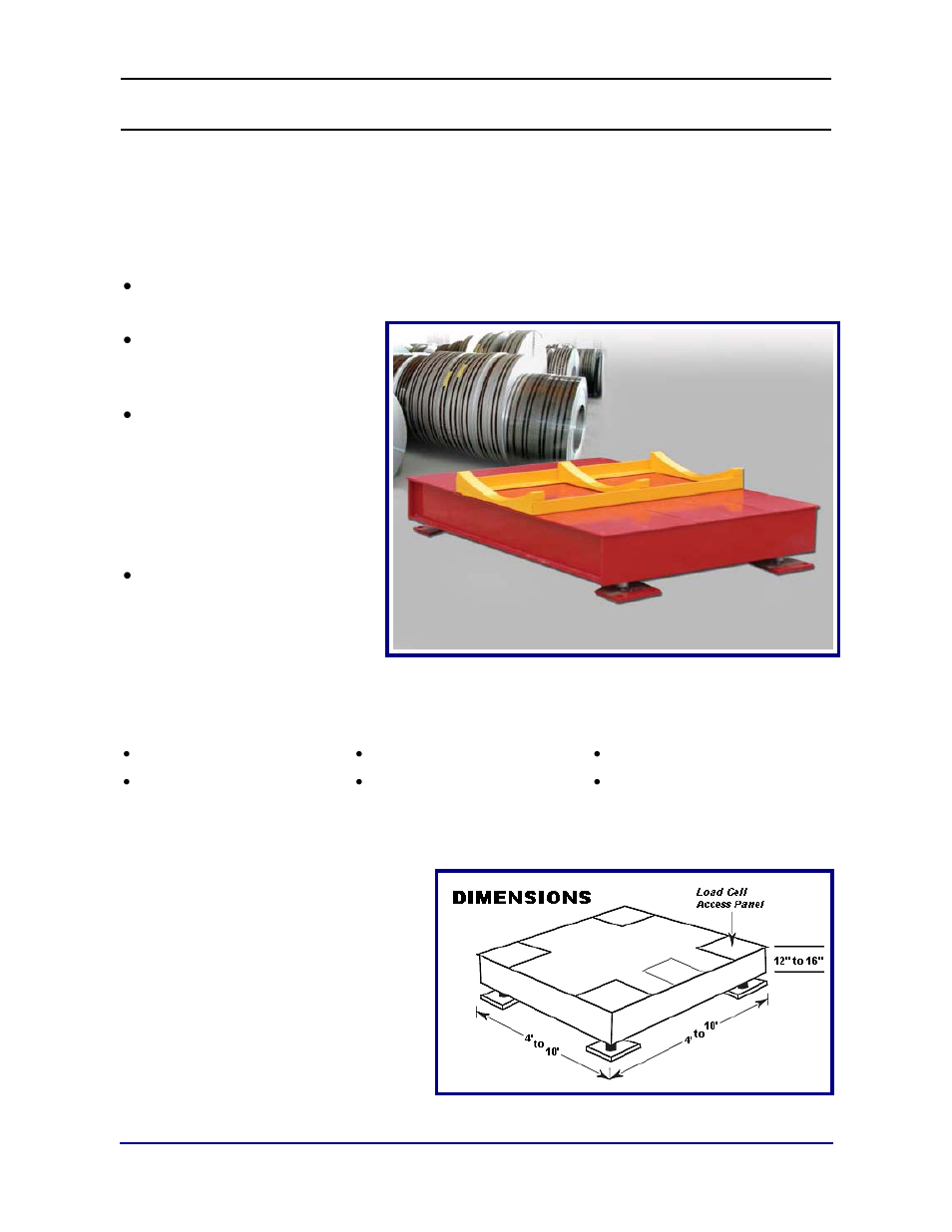 Section 1: general information, Introduction, Aegis coil scale | Fairbanks Aegis Coil Scales User Manual | Page 6 / 42