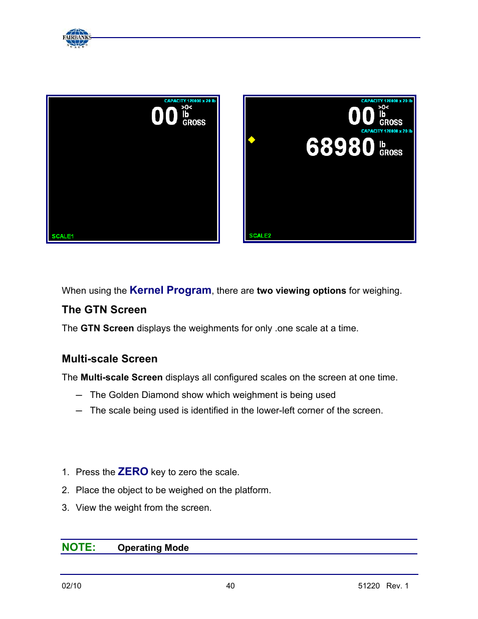 Viewing options, Gross weighing, Kernel program | The gtn screen, Multi-scale screen, Zero, Service-programmable only | Fairbanks FB3000 II Operators Manual User Manual | Page 40 / 68