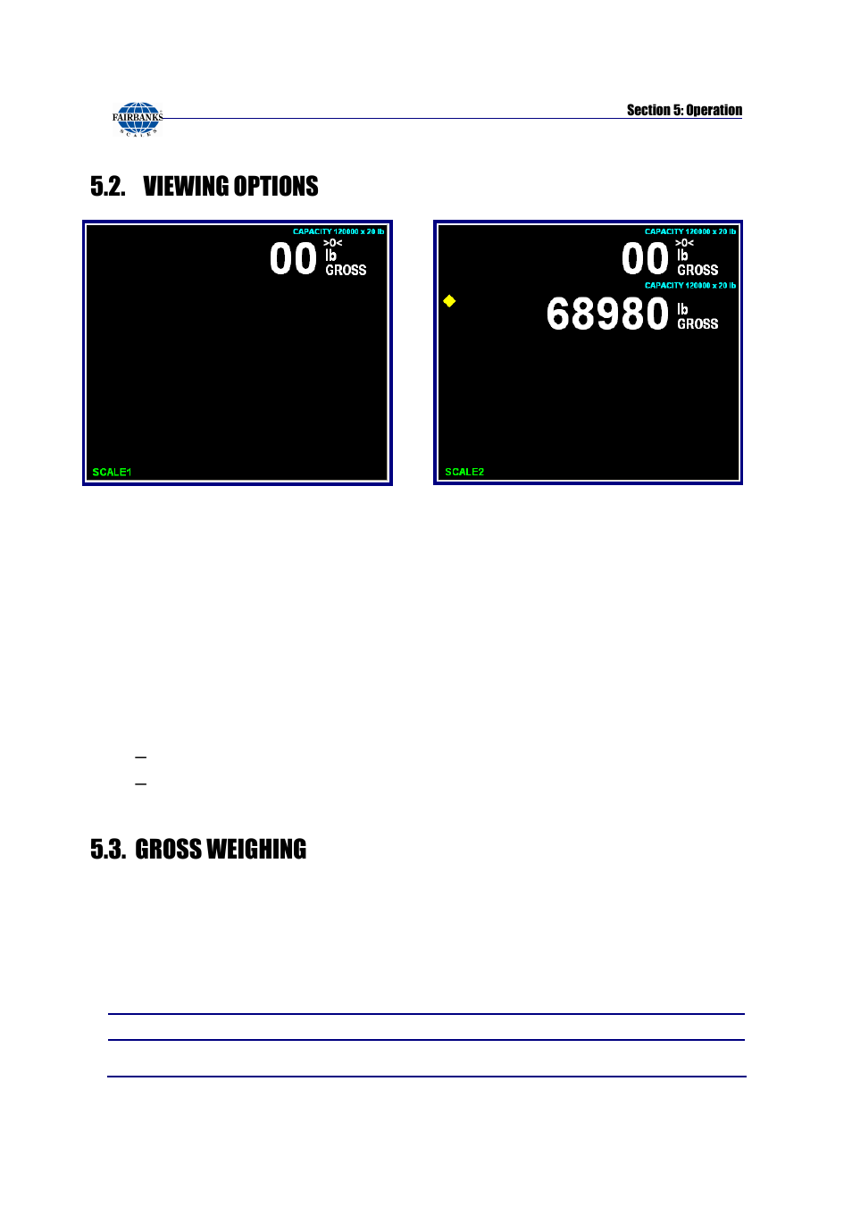 Viewing options, Gross weighing, Kernel program | The gtn screen, Multi-scale screen, Zero, Service-programmable only | Fairbanks FB3000 Kernel Program Operators Manual User Manual | Page 39 / 69