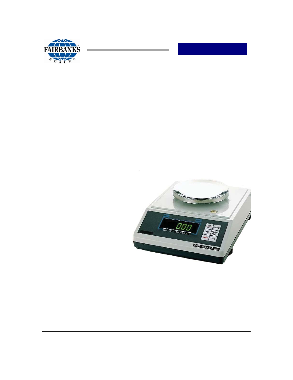 Fairbanks DPB Series Scale Store User Manual | 12 pages