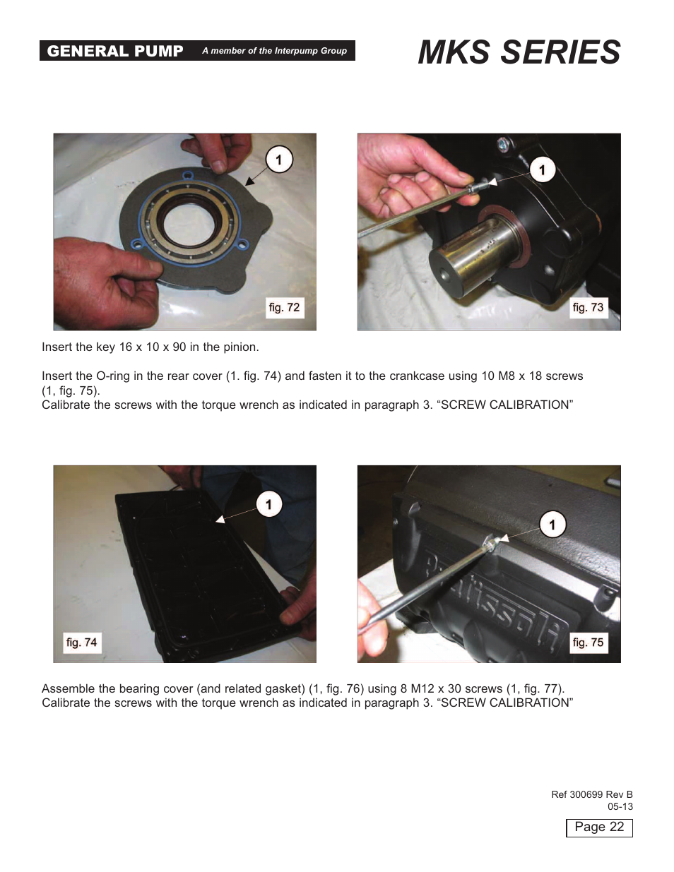 Mks series | General Pump MKS Repair Manual User Manual | Page 22 / 45