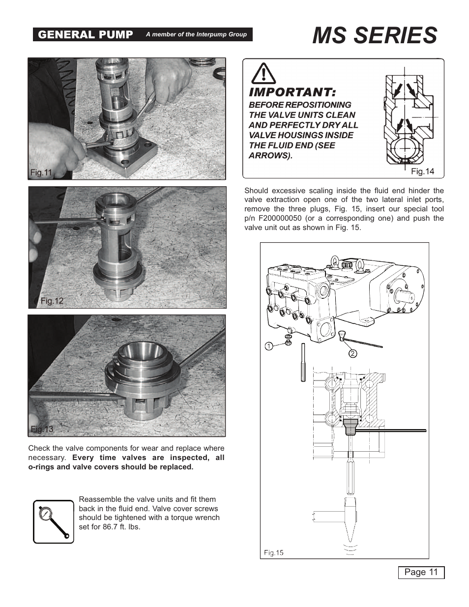 Ms series, General pump | General Pump MS Owner Manual User Manual | Page 11 / 20