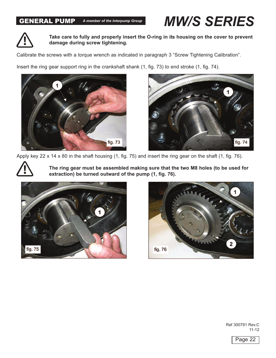 Mw/s series | General Pump MW Repair Manual User Manual | Page 22 / 54