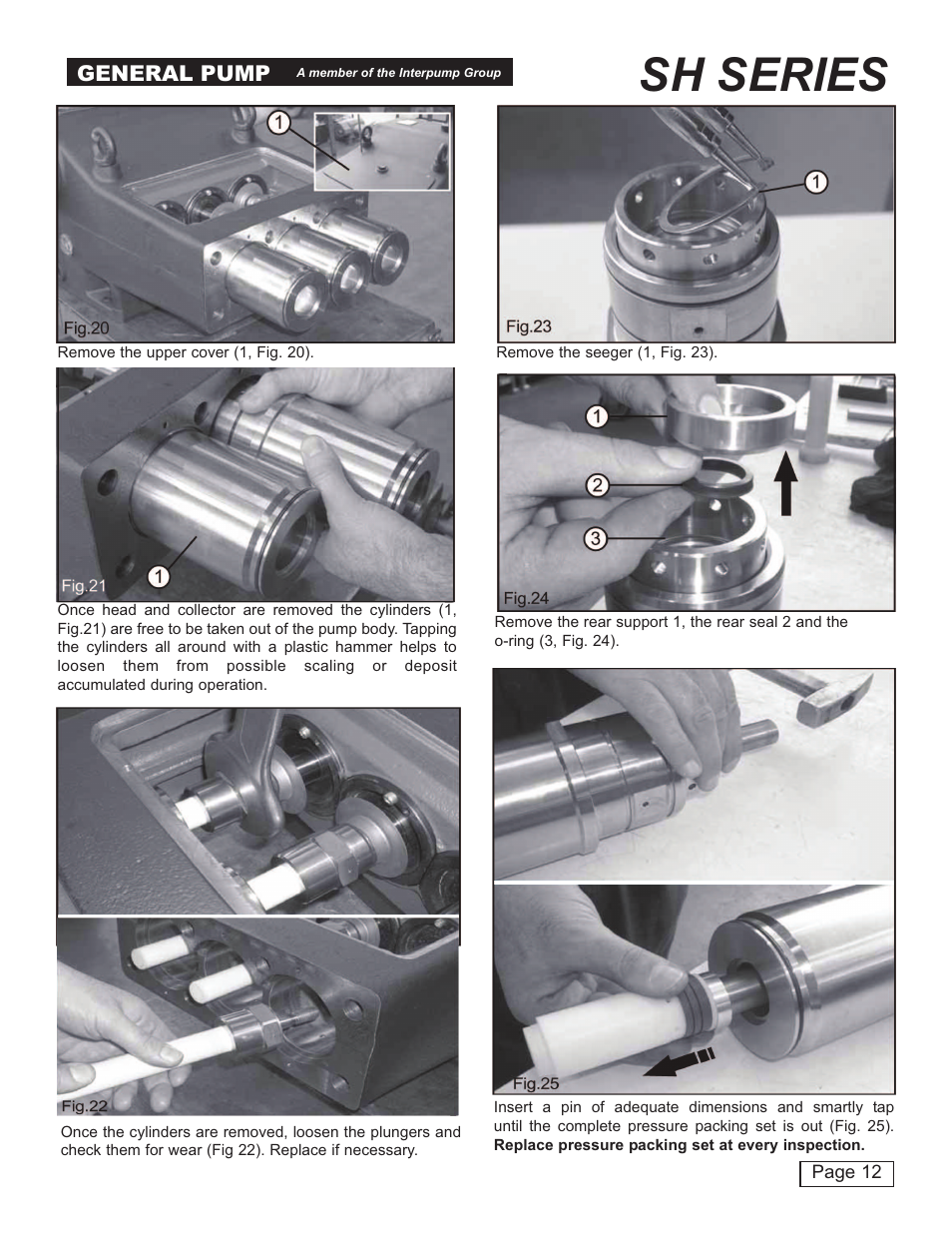 Sh series, General pump | General Pump SH User Manual | Page 12 / 18