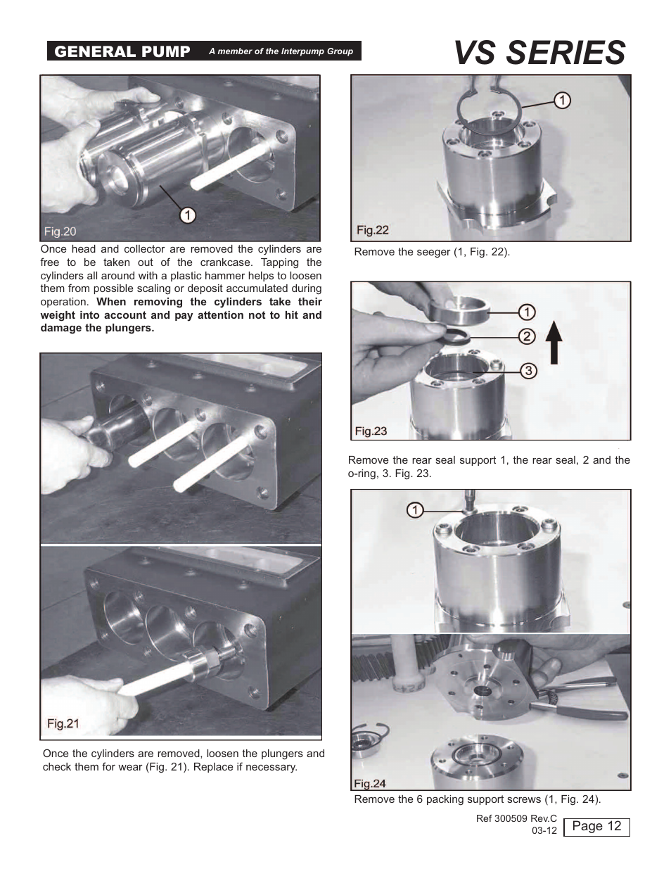 Vs series, General pump | General Pump VS User Manual | Page 12 / 18