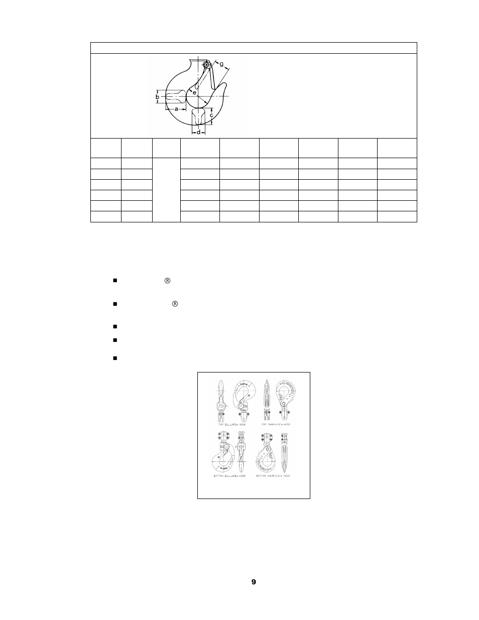 3 optional equipment | Harrington Hoists and Cranes CF Hand Chain Hoist User Manual | Page 9 / 48