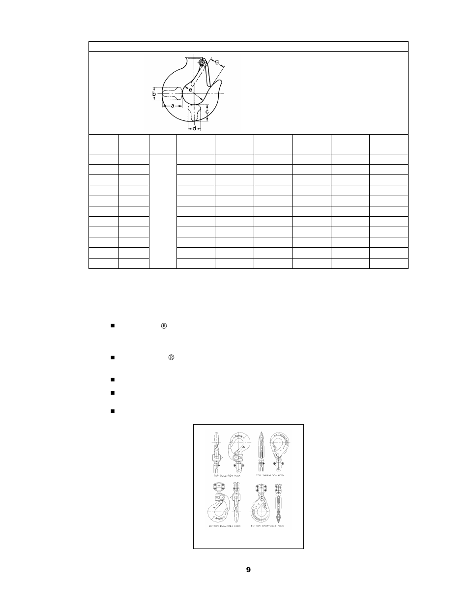 3 optional equipment | Harrington Hoists and Cranes CB Hand Chain Hoist User Manual | Page 9 / 56