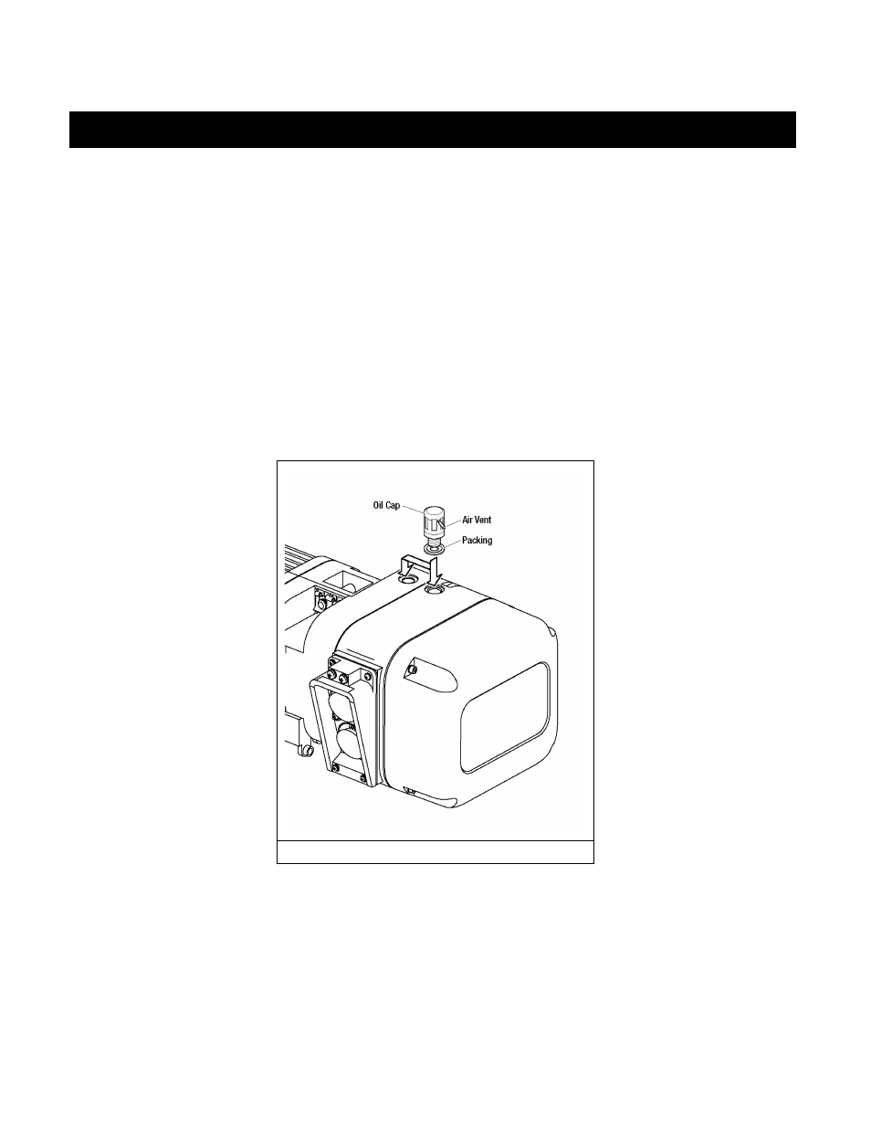 0 preoperational procedures | Harrington Hoists and Cranes (N)ER Large Cap Hoist - ((N)ER2 User Manual | Page 7 / 60