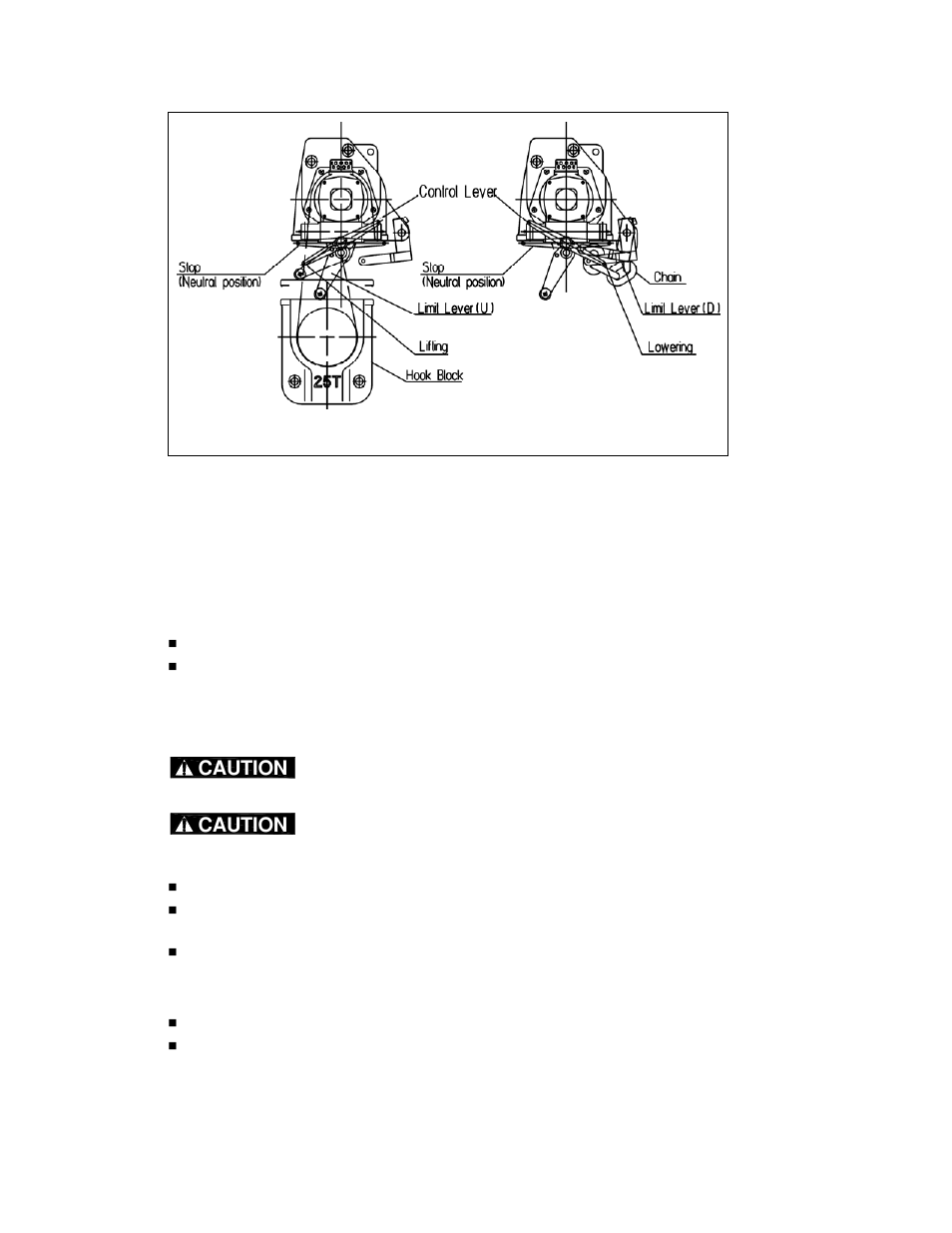 Caution | Harrington Hoists and Cranes TCR Large Cap - (10-25 Ton) User Manual | Page 18 / 54