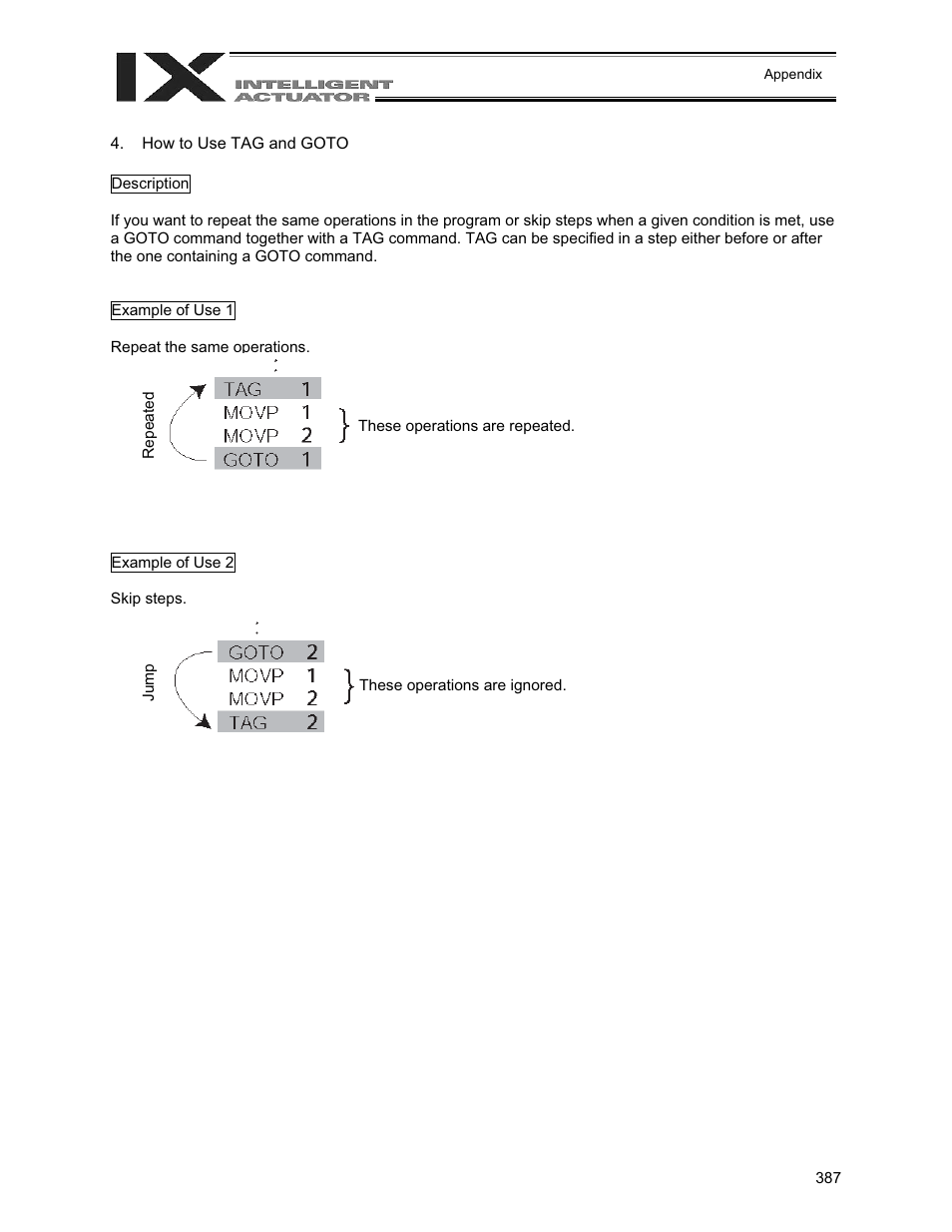 How to use tag and goto | IAI America XSEL-QX User Manual | Page 411 / 558