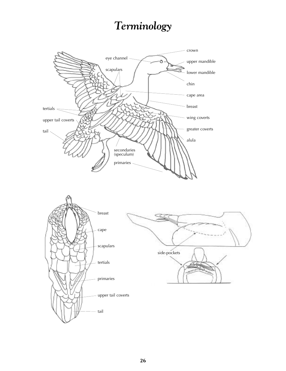 Terminology | Foredom Series SR User Manual | Page 26 / 27