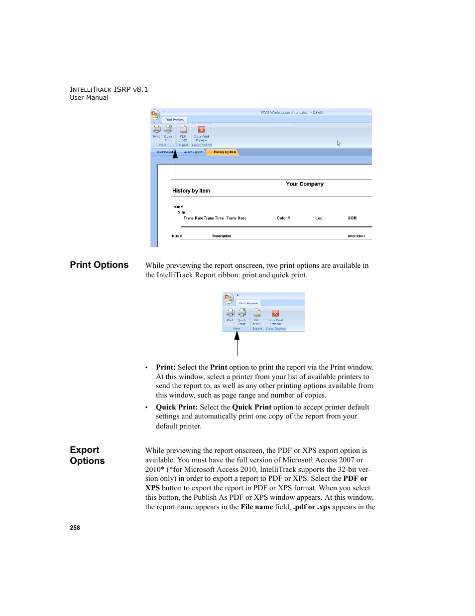 Print options, Export options, Print options export options | IntelliTrack Inventory Shipping Receiving Picking (ISRP) User Manual | Page 286 / 398