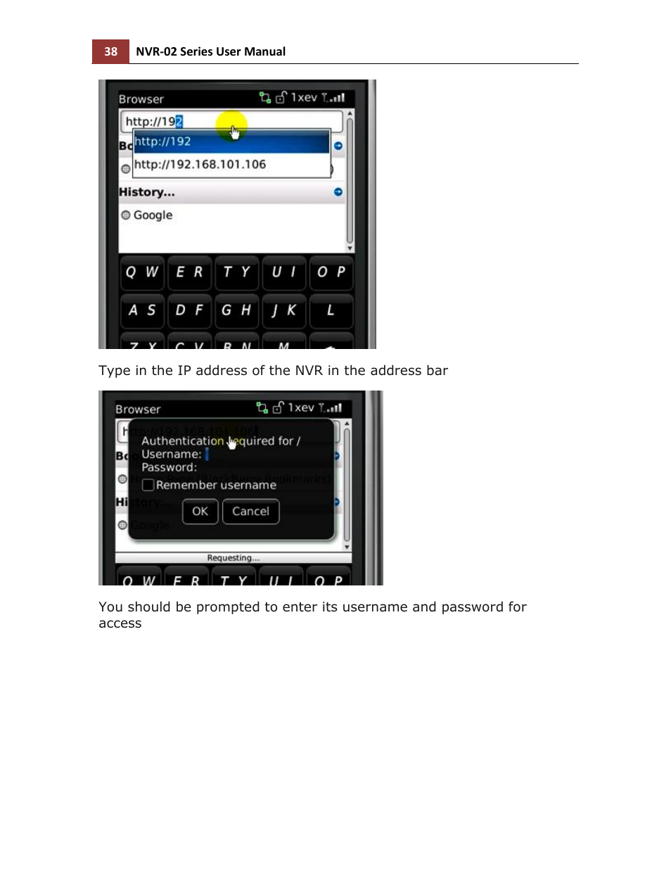 LevelOne NVR-0216 User Manual | Page 38 / 116
