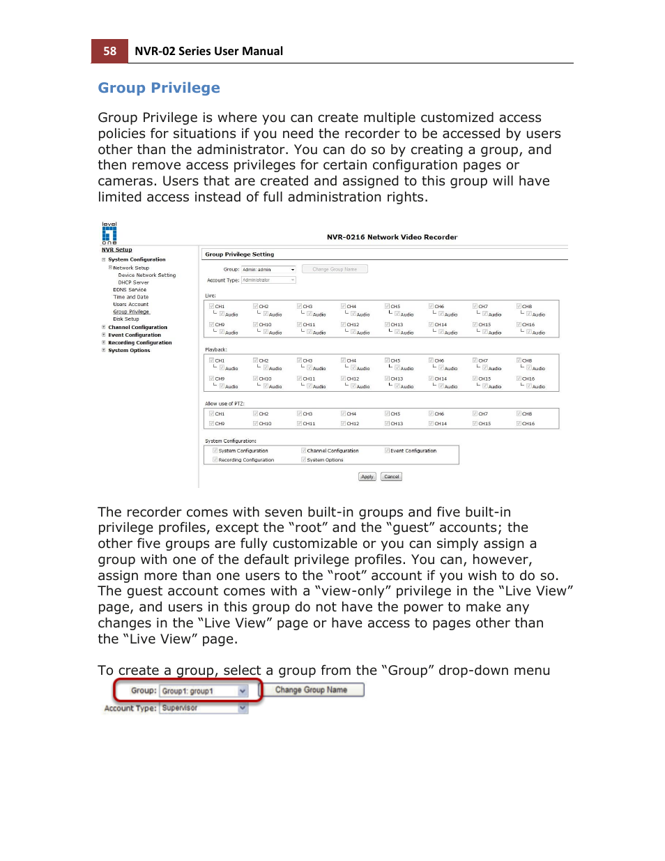 Group privilege | LevelOne NVR-0216 User Manual | Page 58 / 116