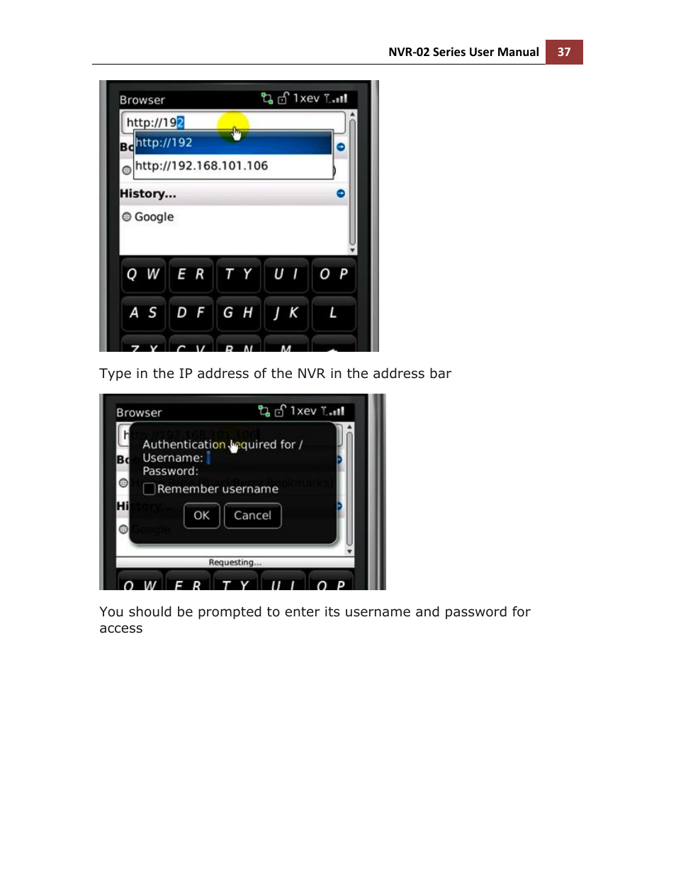 LevelOne NVR-0216 User Manual | Page 37 / 101