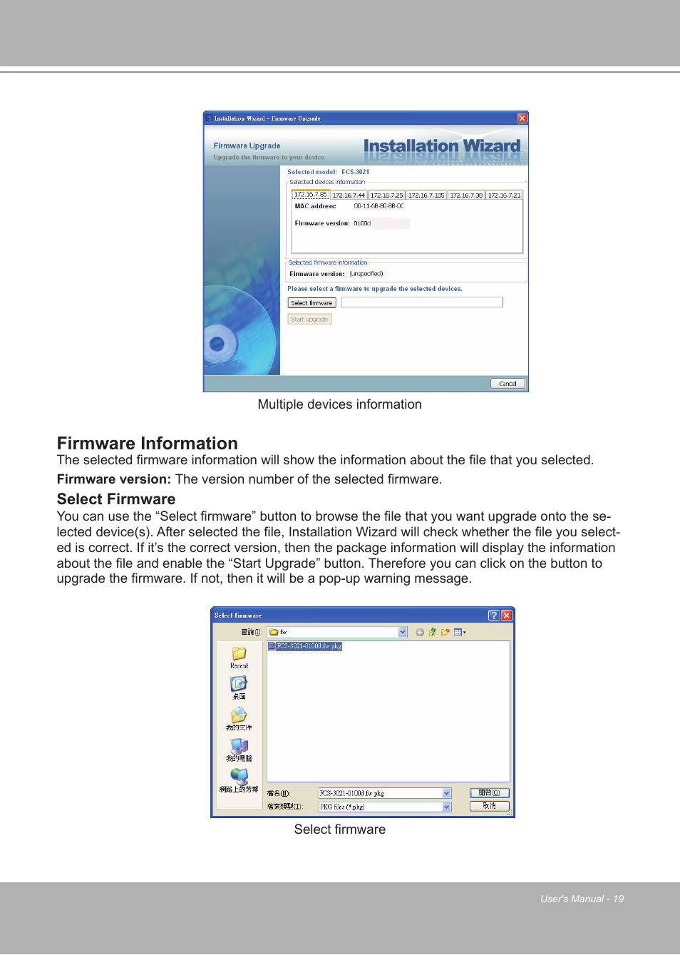 Firmware information | LevelOne FCS-7111 User Manual | Page 19 / 143