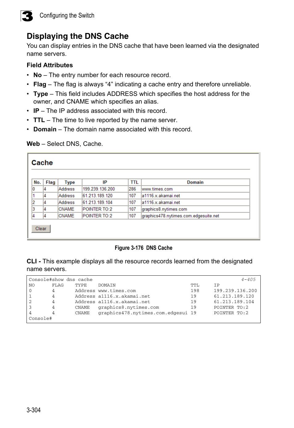 Displaying the dns cache, Figure 3-176, Dns cache | LevelOne FGL-2870 User Manual | Page 358 / 800