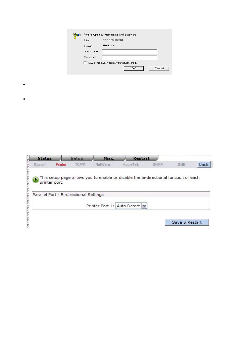 Printer setup, Wireless setup | LevelOne WPS-1133 User Manual | Page 42 / 84