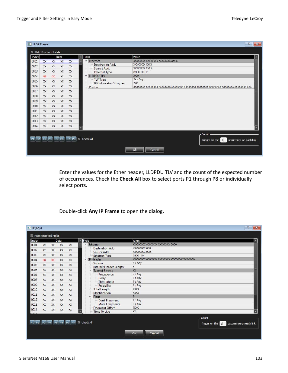 11 internet protocol pattern | Teledyne LeCroy SierraNet M168 User Manual Ver.1.50 User Manual | Page 105 / 248