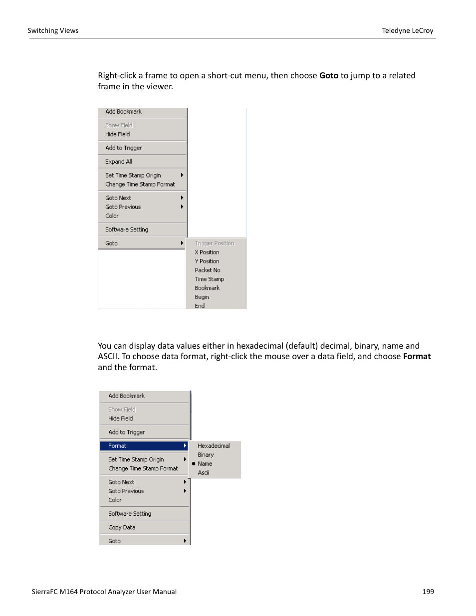 Related frames, Choose data format | Teledyne LeCroy SierraFC M164 User Manual User Manual | Page 199 / 343