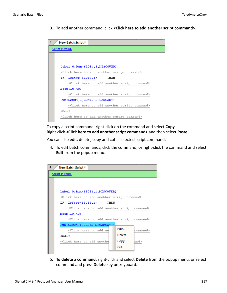 Teledyne LeCroy SierraFC M8-4 User Manual User Manual | Page 317 / 335