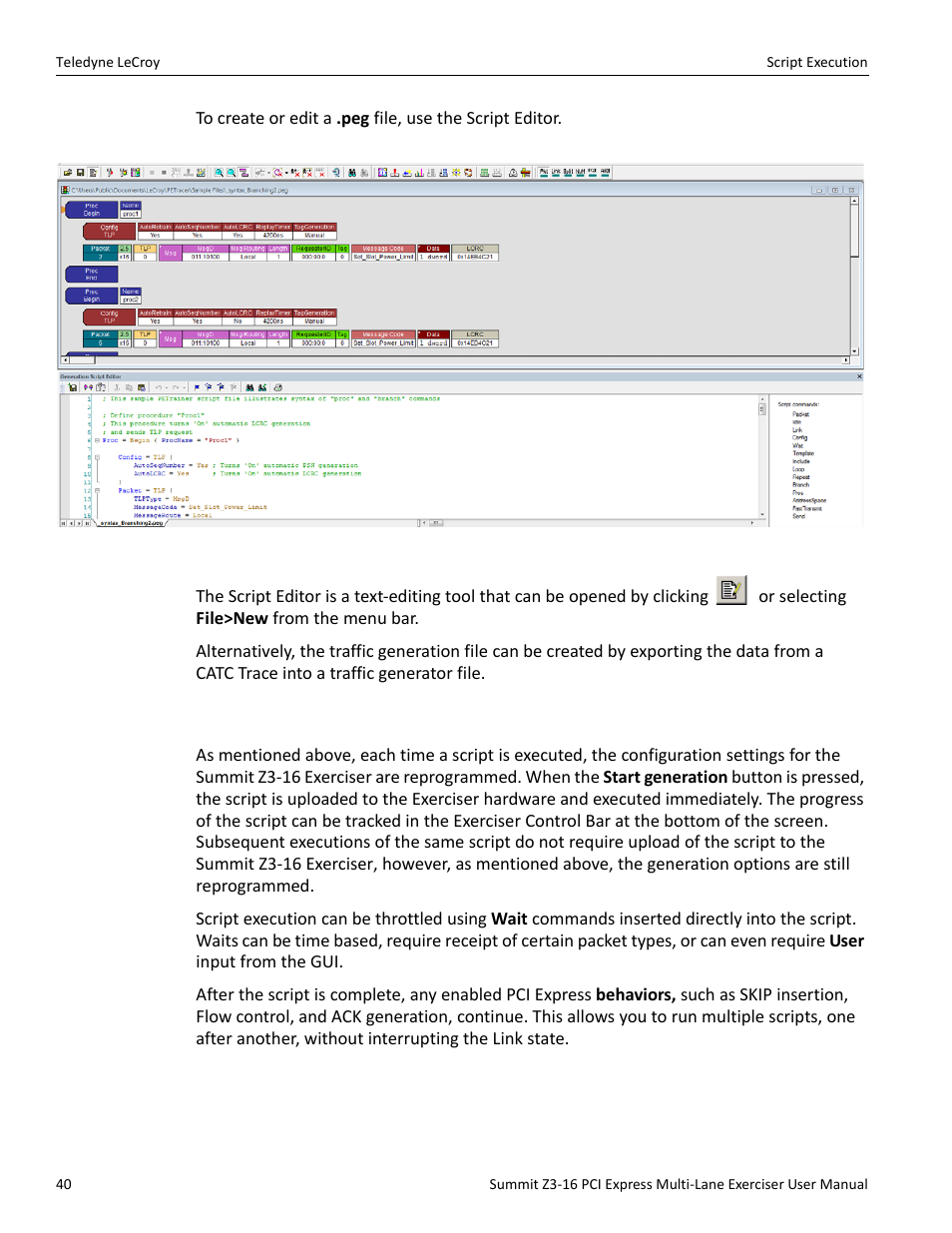 5 script execution | Teledyne LeCroy Summit Z3-16 PCI Express Multi-lane Exerciser User Manual User Manual | Page 40 / 118