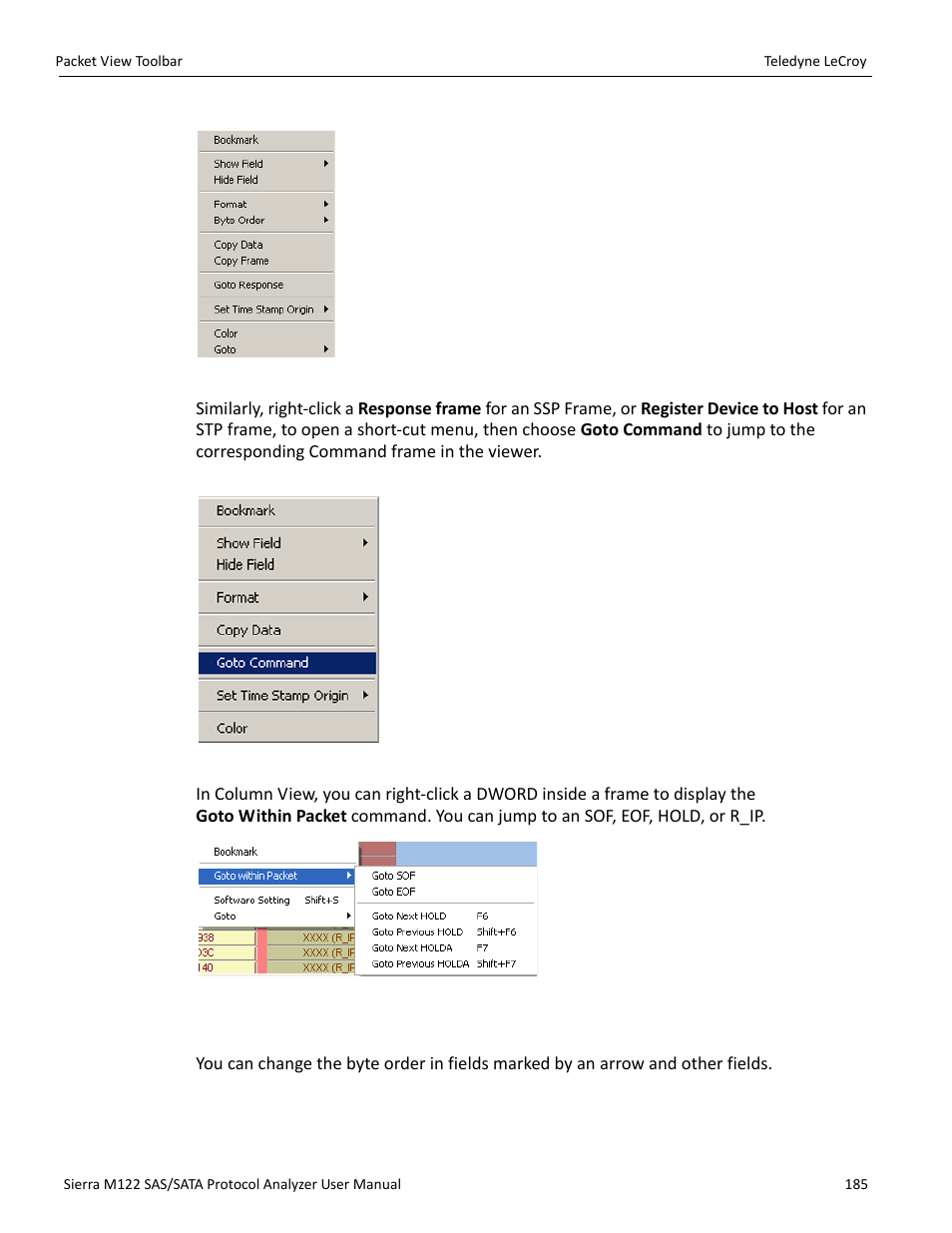 Byte order | Teledyne LeCroy Sierra M122 User Manual User Manual | Page 187 / 385