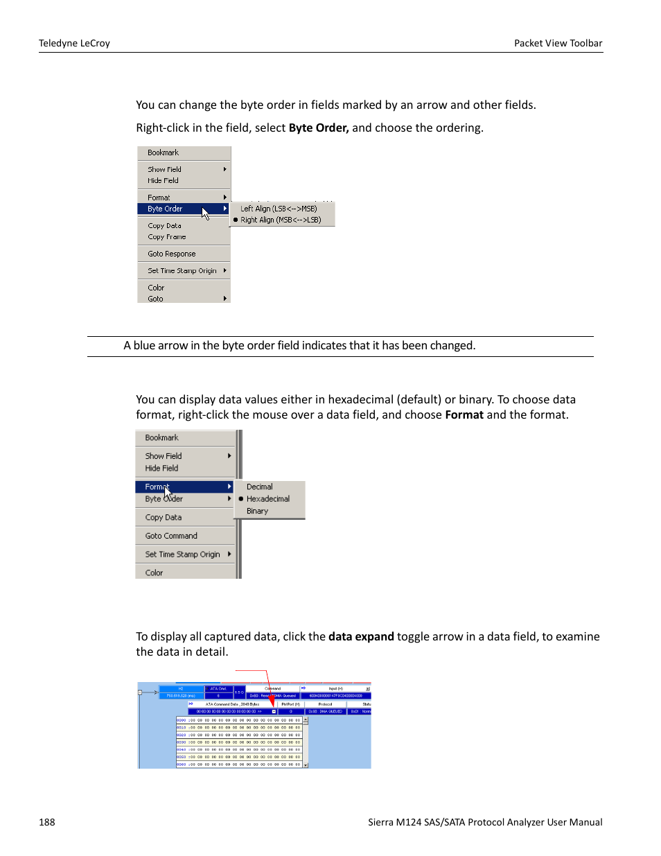 Byte order, Choose data format, Show all data | Teledyne LeCroy Sierra M124 User Manual User Manual | Page 190 / 391