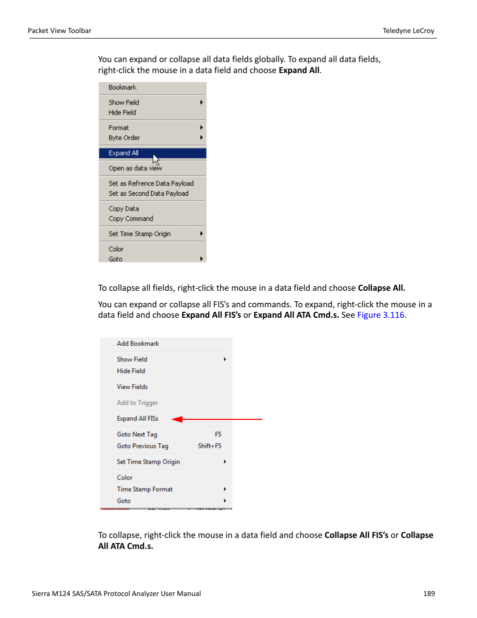 Teledyne LeCroy Sierra M124 User Manual User Manual | Page 191 / 391