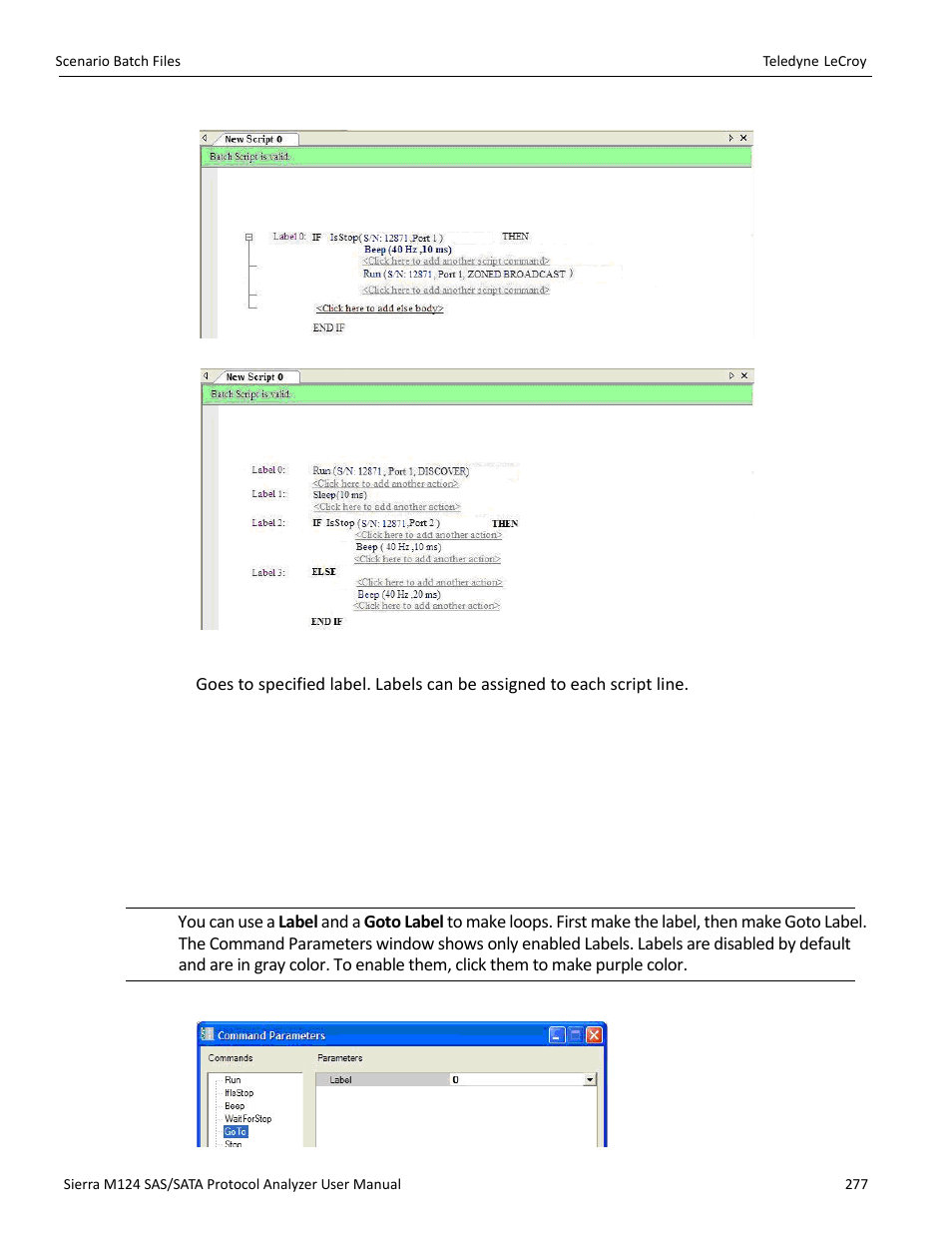 Goto label | Teledyne LeCroy Sierra M124 User Manual User Manual | Page 279 / 391