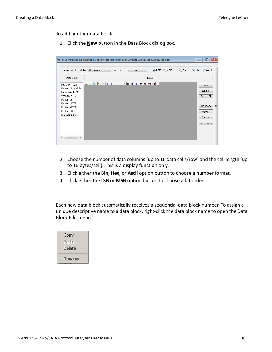 1 naming a data block | Teledyne LeCroy Sierra M6-1 SAS_SATA Protocol Analyzer User Manual User Manual | Page 109 / 302