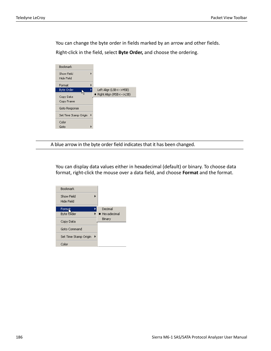 Byte order, Choose data format | Teledyne LeCroy Sierra M6-1 SAS_SATA Protocol Analyzer User Manual User Manual | Page 188 / 302
