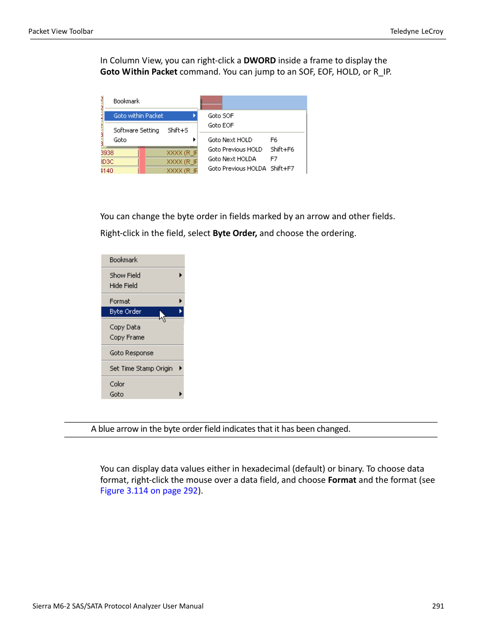 Byte order, Choose data format | Teledyne LeCroy Sierra M6-2 SAS_SATA Protocol Analyzer User Manual User Manual | Page 293 / 496