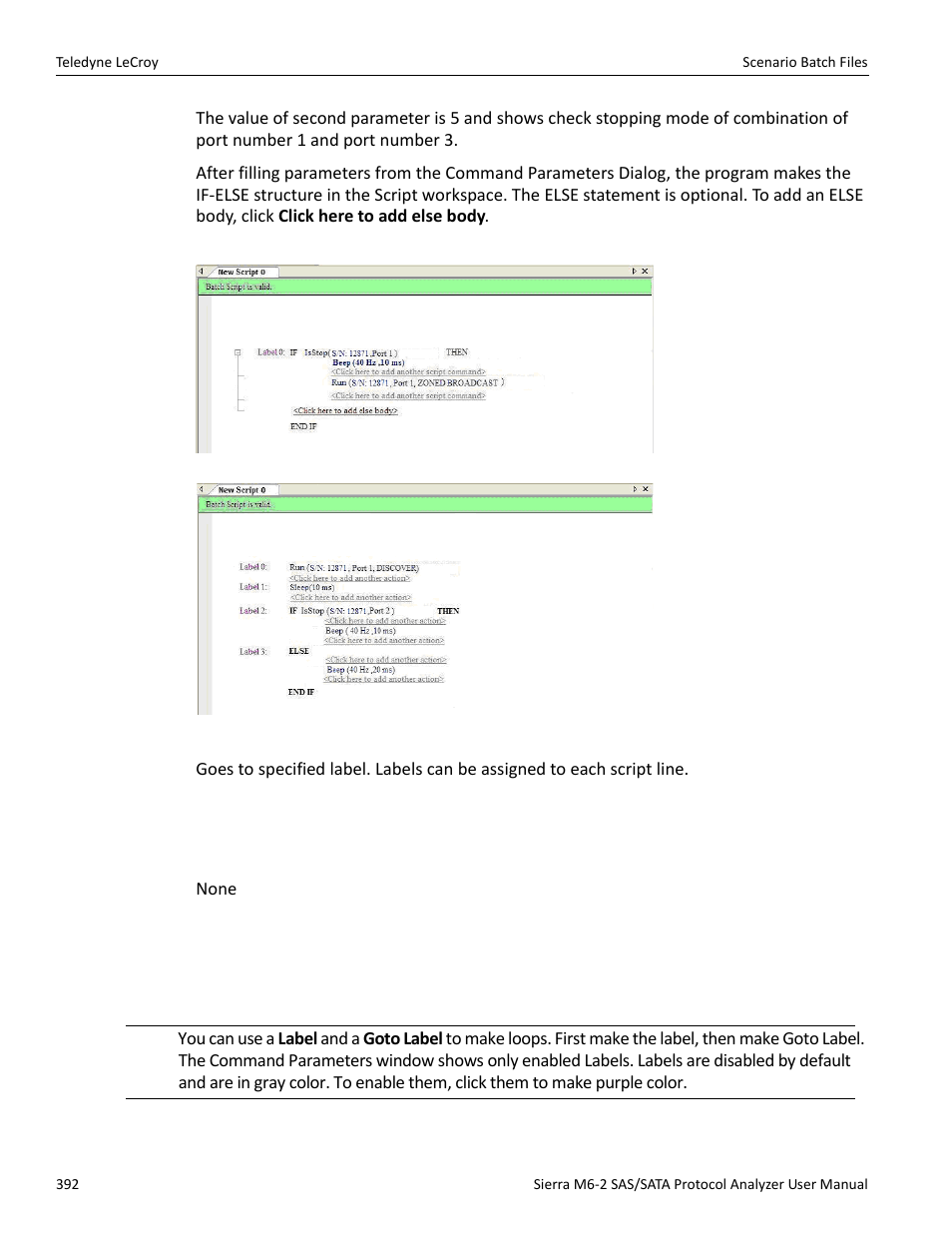 Goto label | Teledyne LeCroy Sierra M6-2 SAS_SATA Protocol Analyzer User Manual User Manual | Page 394 / 496