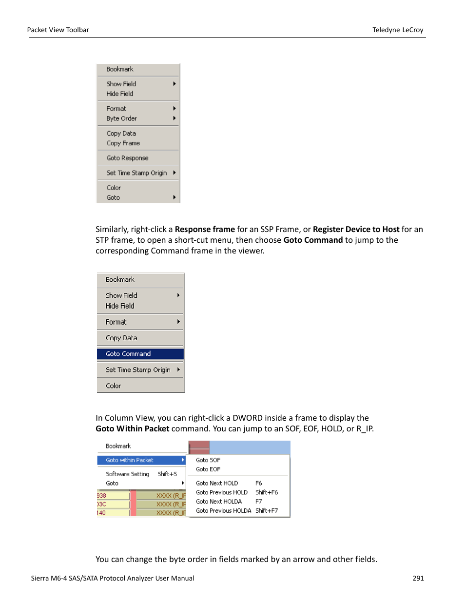 Byte order | Teledyne LeCroy Sierra M6-4 SAS_SATA Protocol Analyzer User Manual User Manual | Page 295 / 498