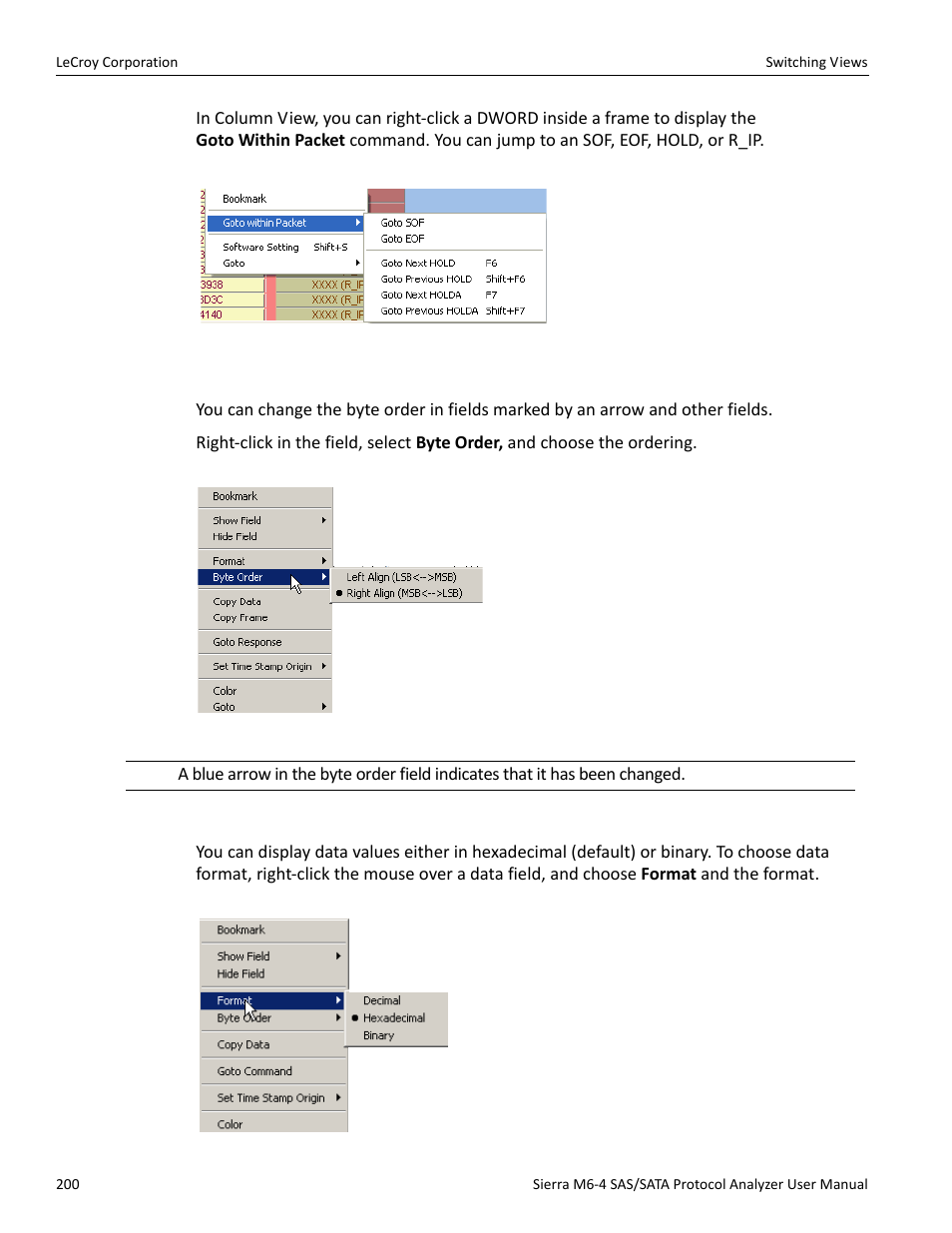 Byte order, Choose data format | Teledyne LeCroy STX M6-1 SAS_SATA Protocol Analyzer User Manual User Manual | Page 202 / 468