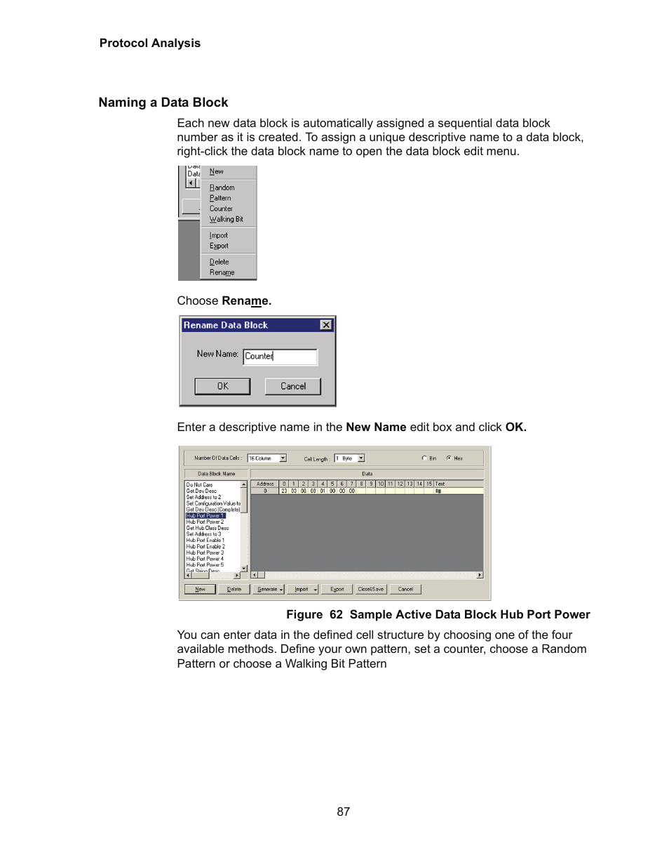 Naming a data block | Teledyne LeCroy Conquest User Manual - Users Manual User Manual | Page 97 / 258