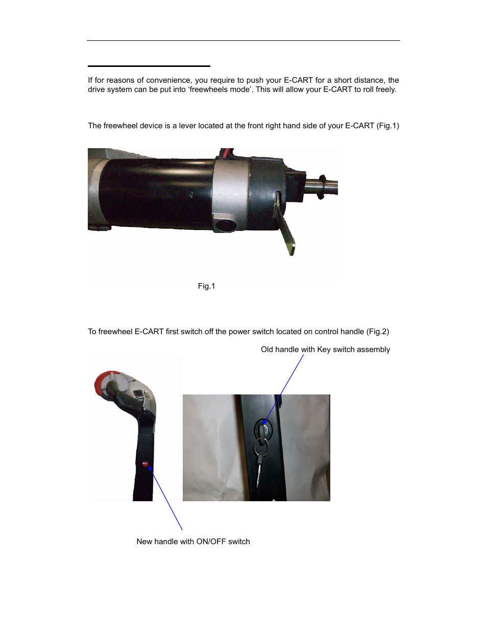 Free wheeling e-cart | Vestil NE-CART User Manual | Page 34 / 38