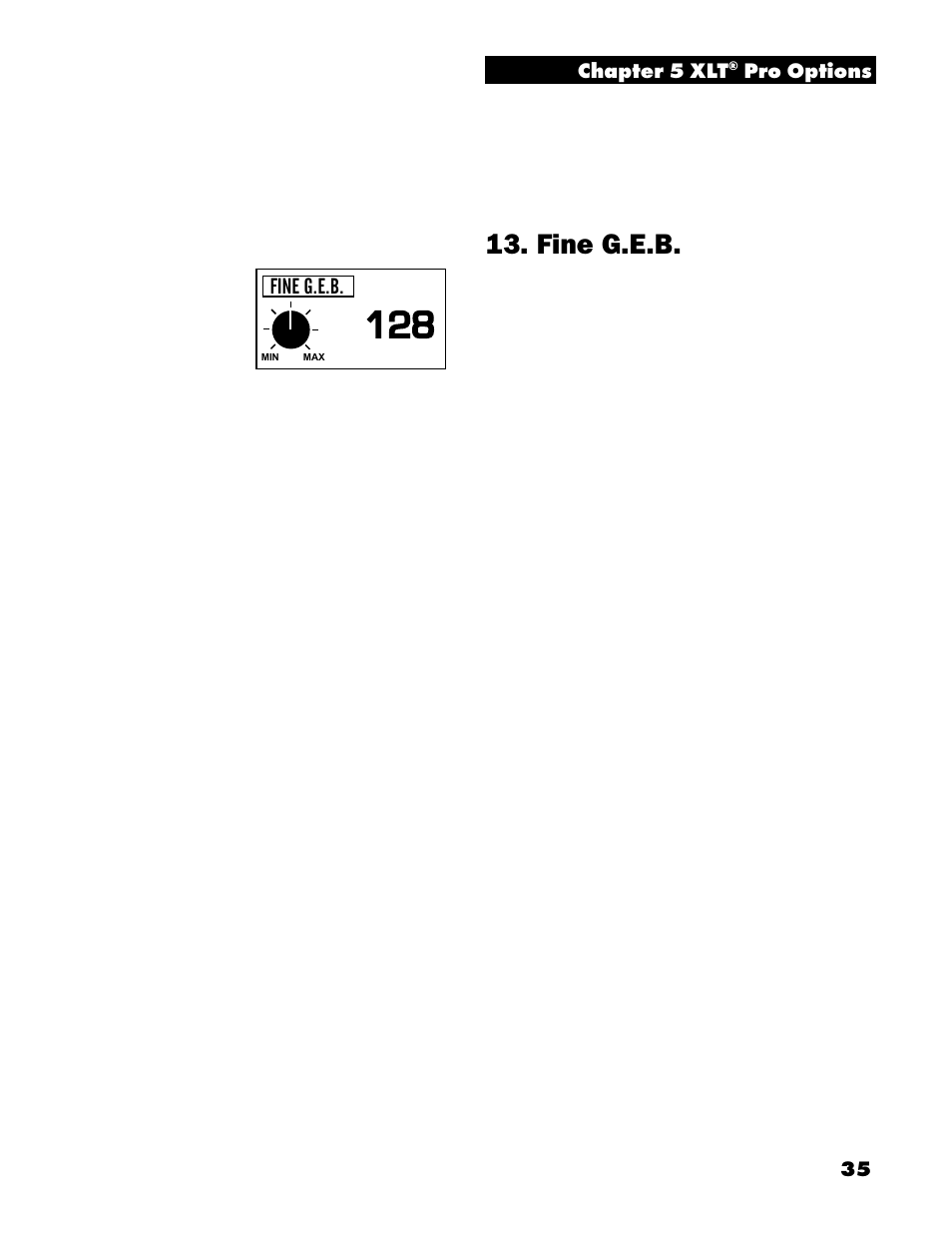 Fine g.e.b | White’s Electronics Spectrum XLT User Manual | Page 35 / 56