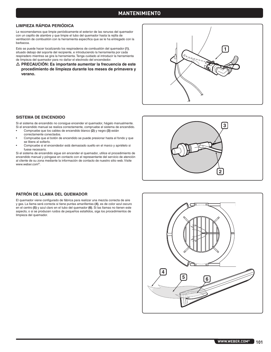 Mantenimiento | weber Pg5 User Manual | Page 101 / 180