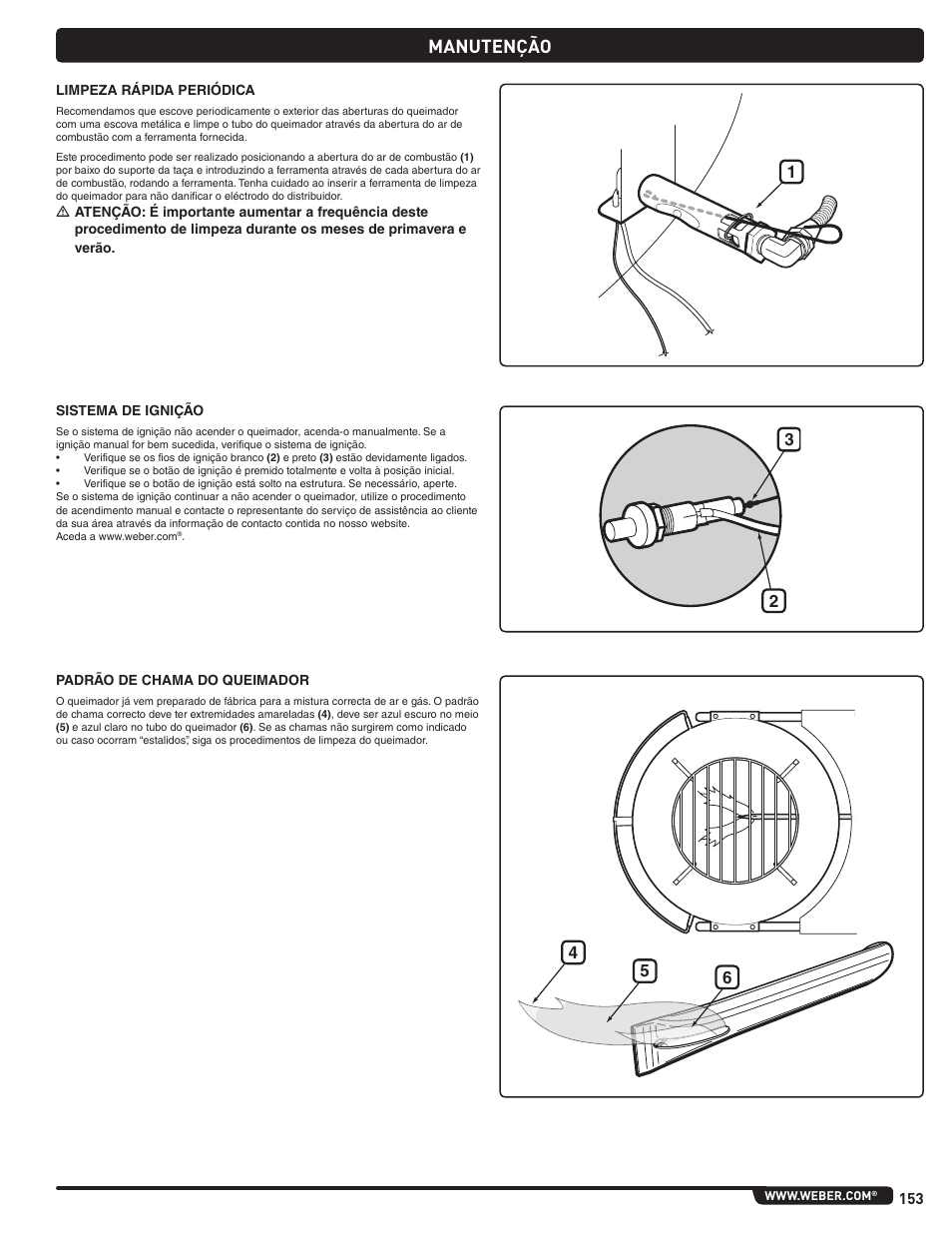 Manutenção | weber Pg5 User Manual | Page 153 / 180