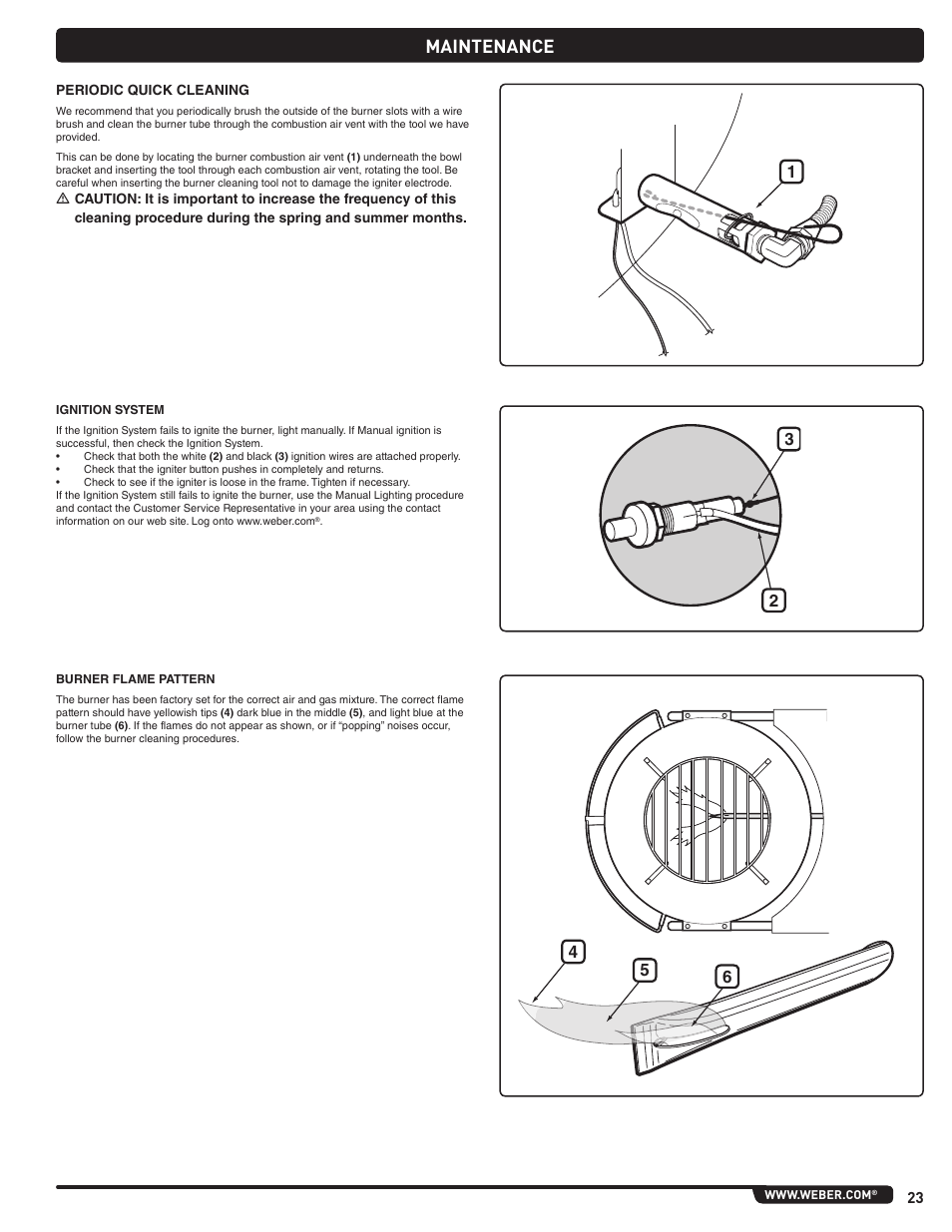 Maintenance | weber Pg5 User Manual | Page 23 / 180