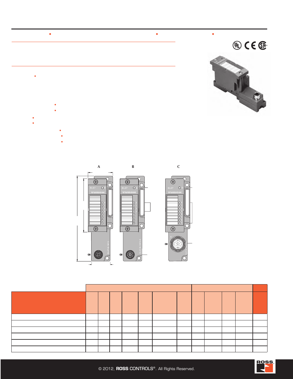 Serial communication modules, Turck modular industrial i/o system bl 67 | Ross Controls TURCK MODULAR I User Manual | Page 38 / 48